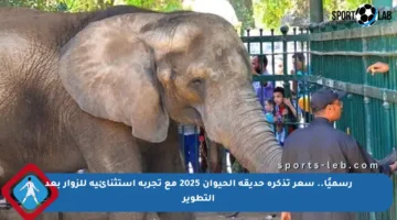 رسميًا.. سعر تذكرة حديقة الحيوان 2025 مع تجربة استثنائية للزوار بعد التطوير